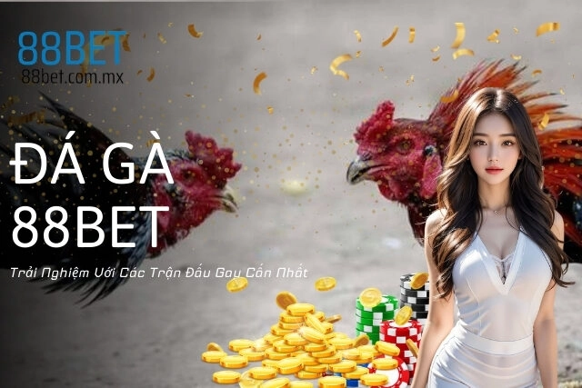 Đá Gà 88Bet: Thỏa Mãn Đam Mê Với Các Trận Đấu Gay Cấn Nhất