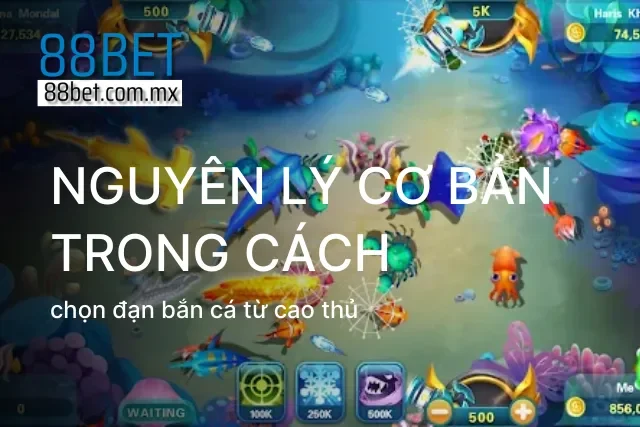 Giới thiệu tổng quan khái niệm cách chọn đạn bắn cá