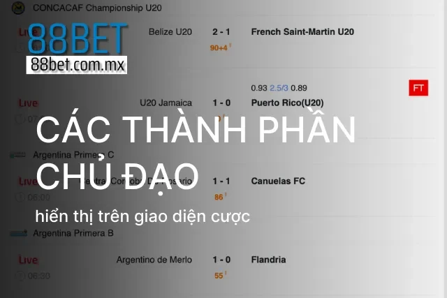 Các thành phần chủ đạo cần biết khi tìm hiểu cách đọc bảng kèo