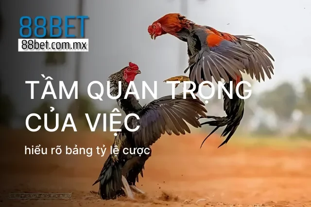 Nền tảng giúp người chơi chủ động kiểm soát dòng tiền cược