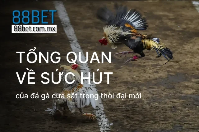 Giới thiệu về sức hút của đá gà cựa sắt