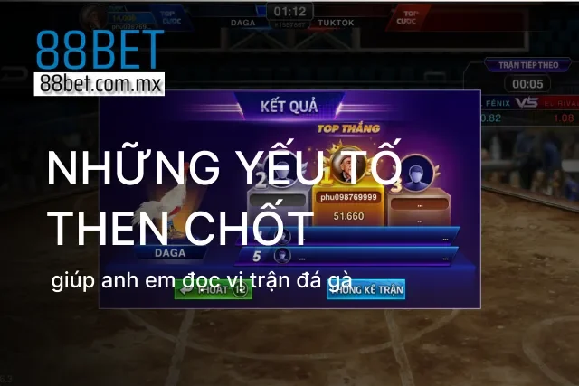 Quan sát thần thái và kỹ năng ra đòn của các chiến kê