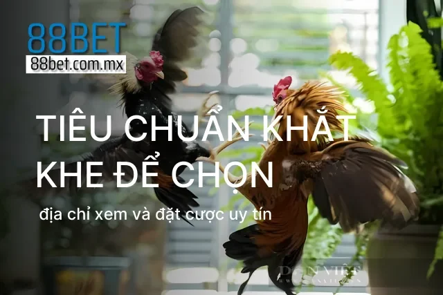 Địa chỉ uy tín nâng tầm trải nghiệm xem và cược đá gà