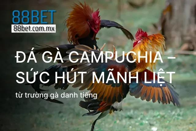 Những màn so tài nảy lửa giữa các chiến kê hàng đầu