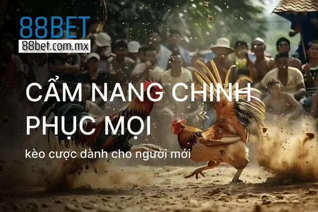 Phương pháp nhận diện chiến kê để đặt niềm tin chuẩn xác