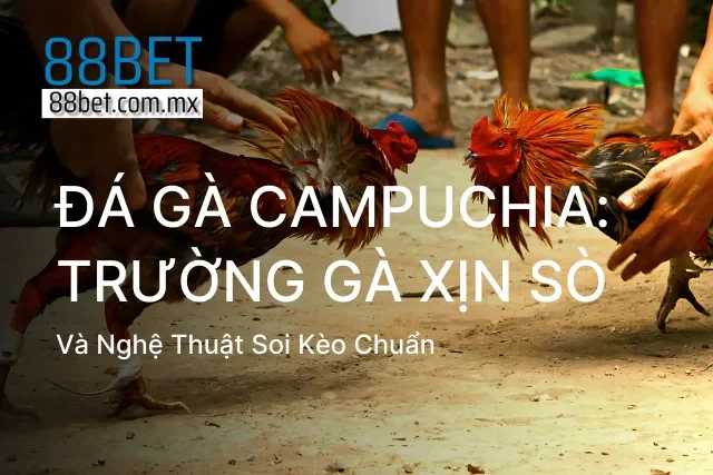 Đá Gà Campuchia: Trường Gà Xịn Sò Và Nghệ Thuật Soi Kèo Chuẩn