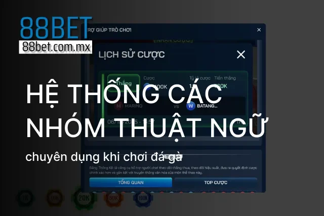 Phân loại rõ ràng các thuật ngữ về dòng gà, đòn đá và tỷ lệ kèo