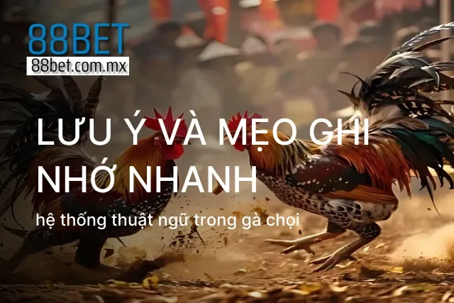 Cách hệ thống hóa thông tin giúp cược thủ nhận diện kèo nhanh